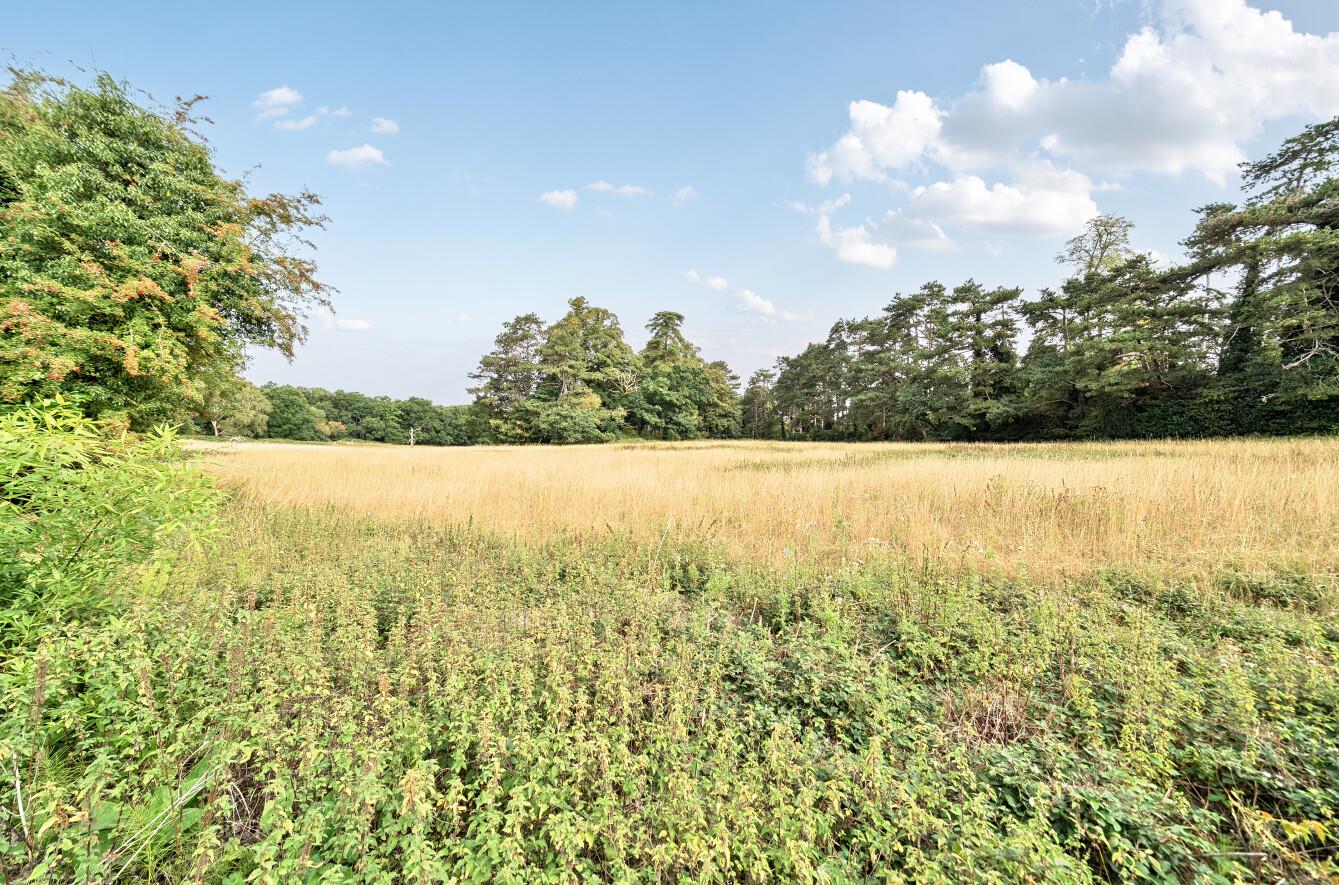 Silwood Road, Sunningdale